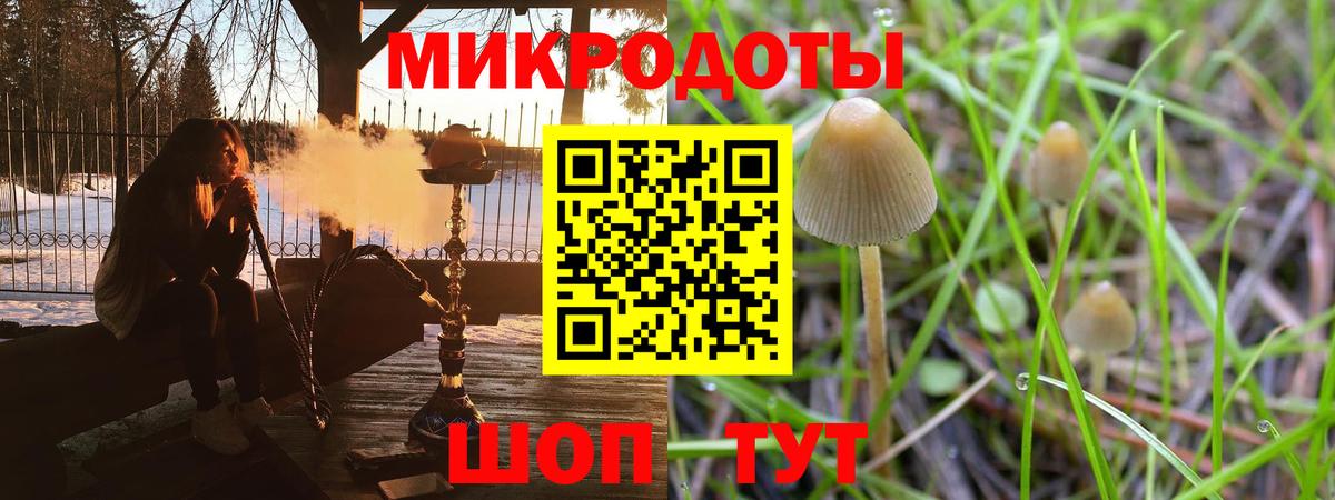 Галлюциногенные грибы мицелий Елец